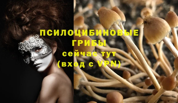 ешки Абаза
